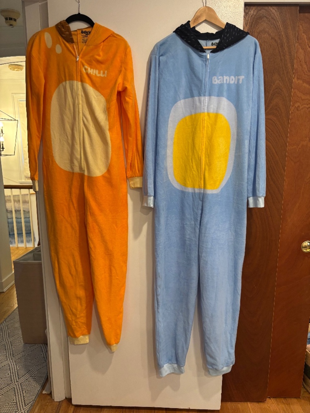 Bluey (Medium) Bingo (Large) Costumes